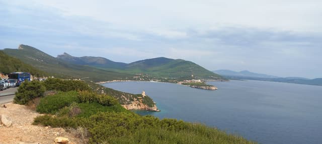 Photo 14 by Rafael S. (12/24/23)