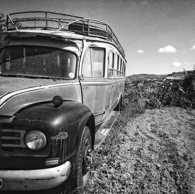 Photo by peter C. (6/2/25)