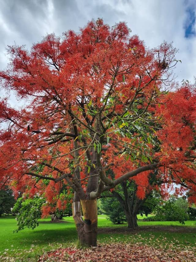 Photo 8 by Teng Hong T. (12/17/23)