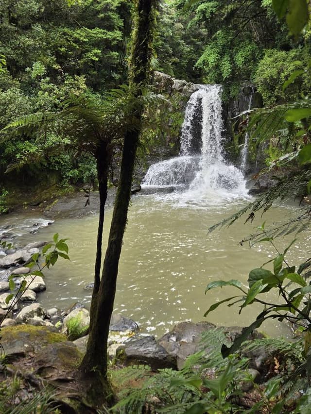 Photo 5 by Peter W. (1/4/26)