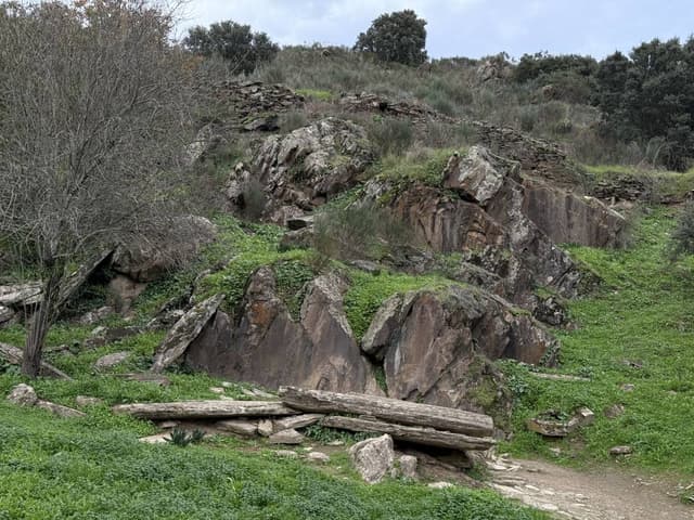 Photo 2 by Joao Carlos N. (11/28/24)