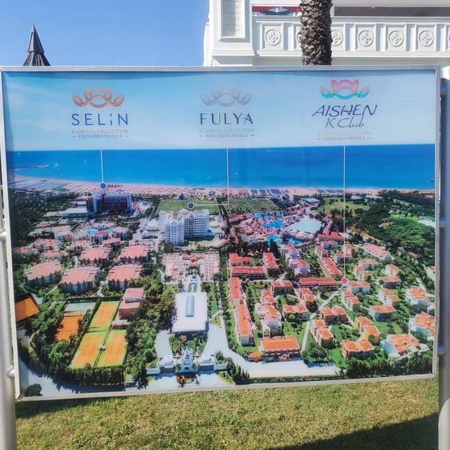 Photo 8 by Qusai A. (7/9/24)