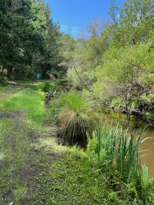 Photo 5 by Petr H. (6/30/24)