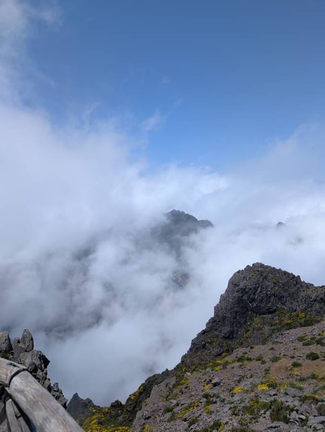 Photo 1 by Eniko D. (6/16/25)