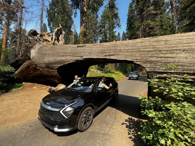 Photo by Bohus B. (10/19/23)