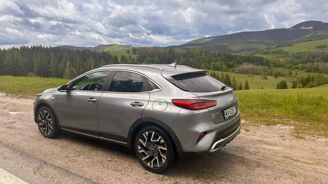 Photo 5 by Peter M. (5/22/25)