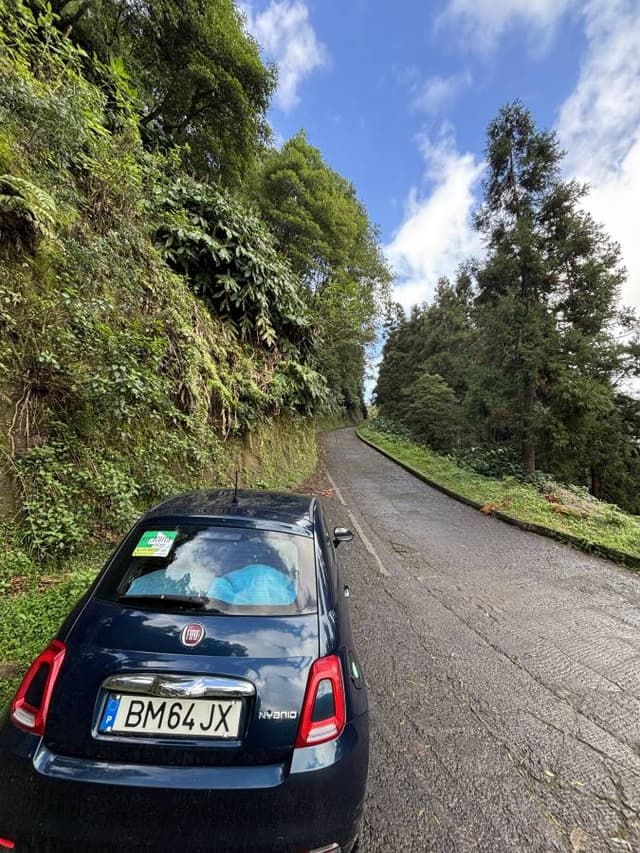 Photo 4 by Victor M. (11/22/25)