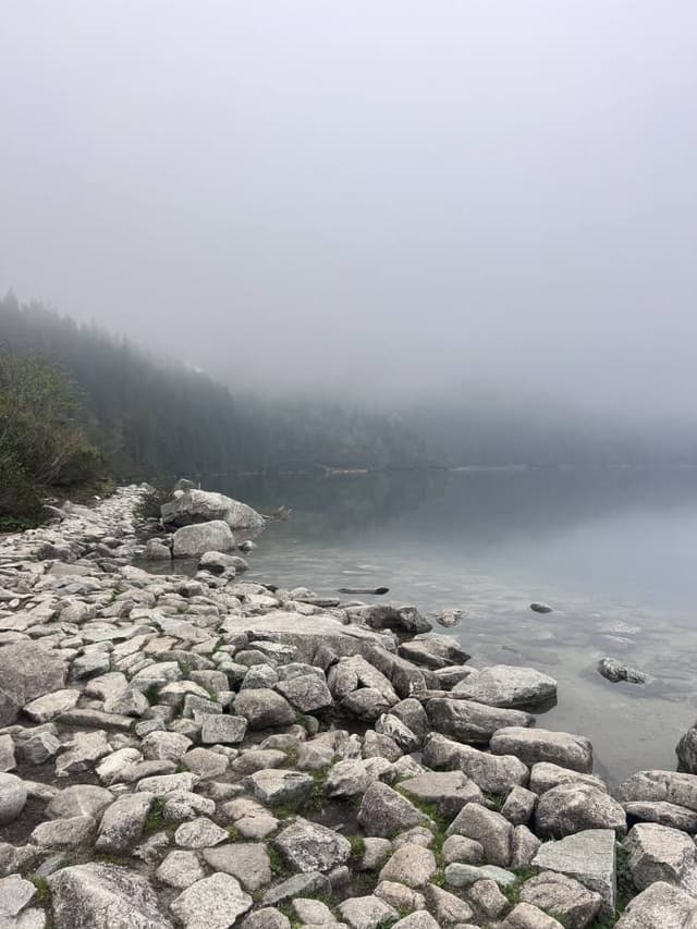 Photo 3 by ayman T. (5/9/24)