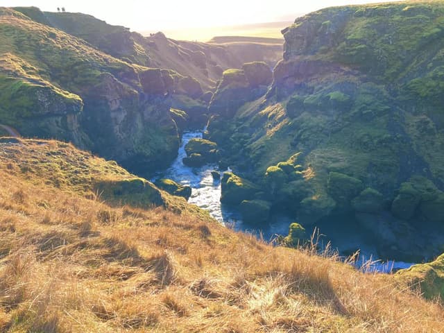 Photo 7 by Jenna H. (11/14/24)