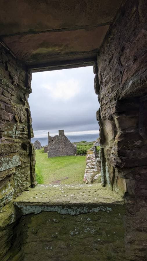 Photo 4 by Barry P. (6/30/24)