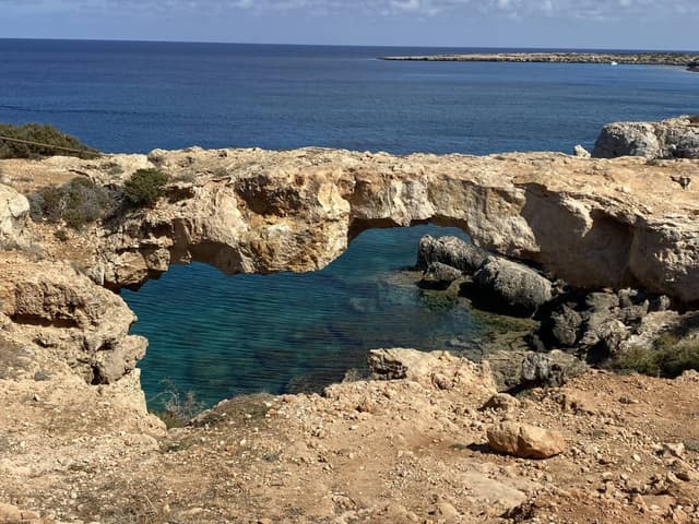 Photo 7 by Carmen Reyes R. (5/6/25)