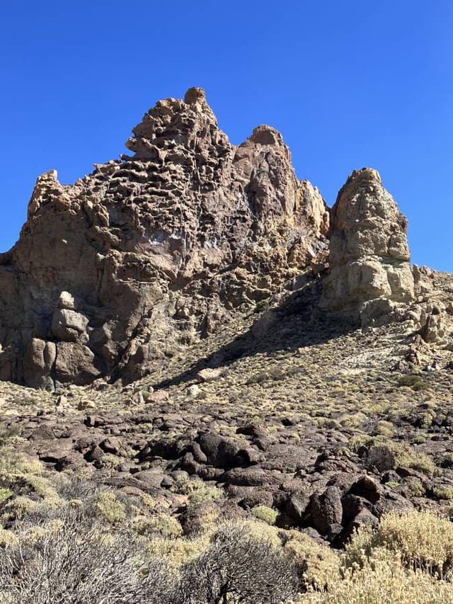 Photo 5 by John S. (11/29/23)