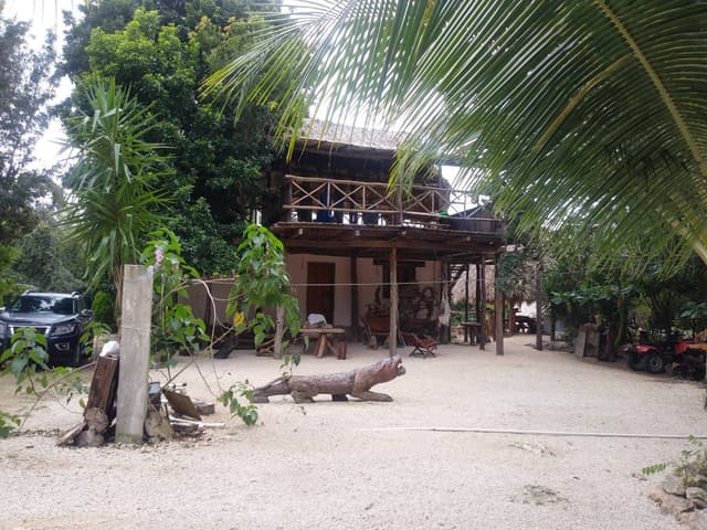 Photo 7 by Denis T. (2/14/24)