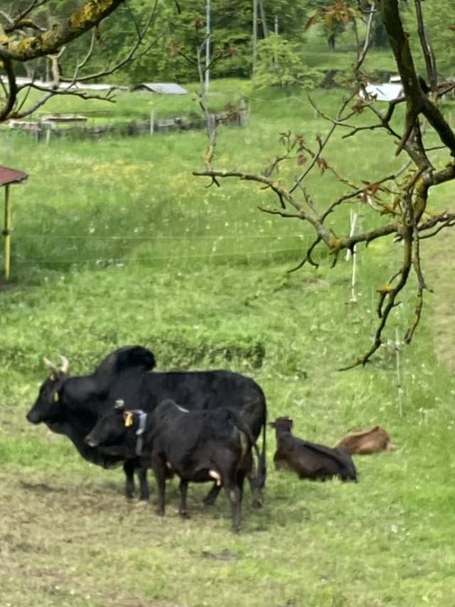 Photo 3 by Richard W. (5/28/23)