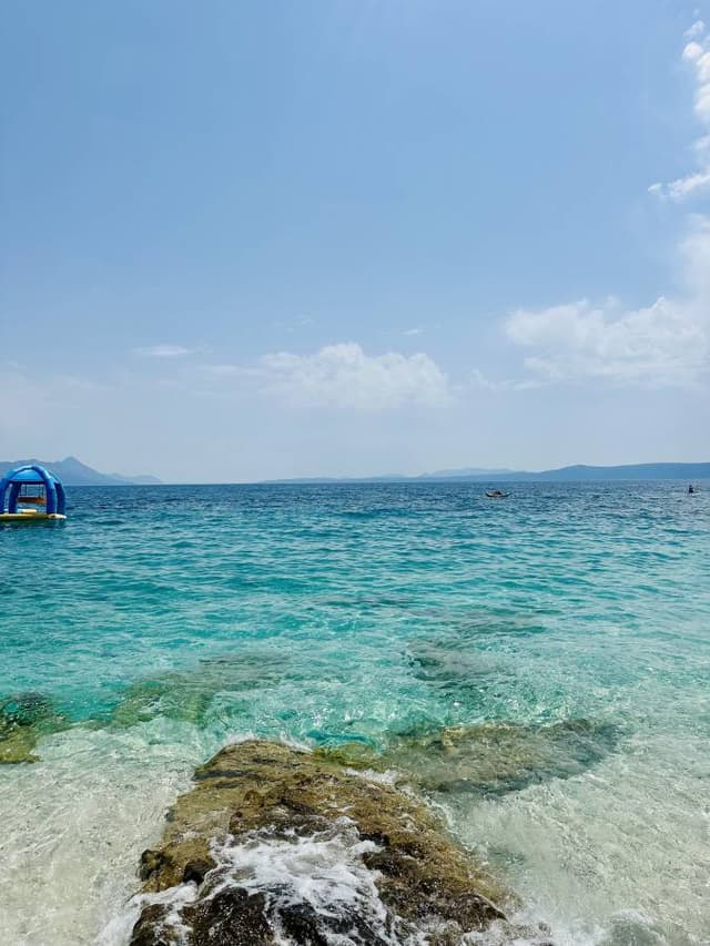 Photo 3 by Sara L. (7/12/24)