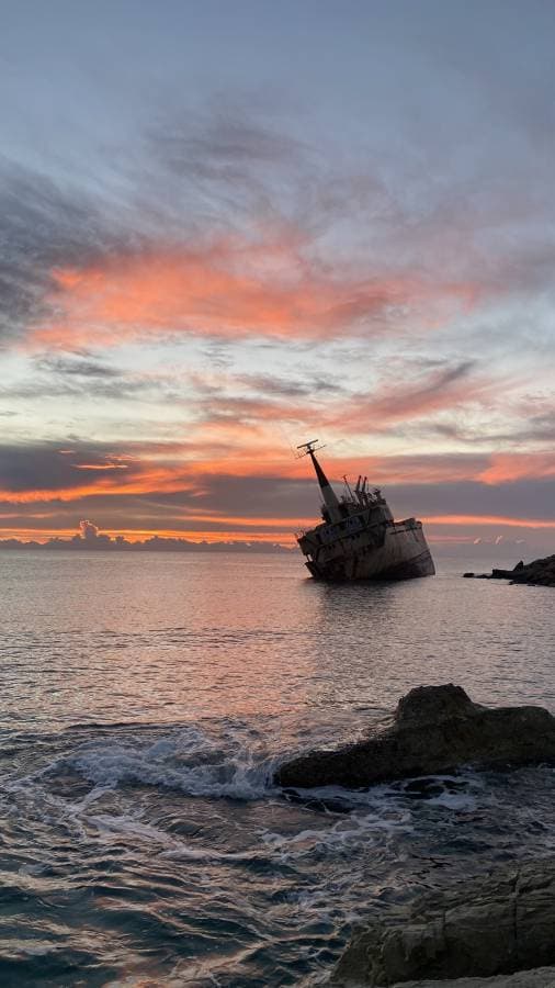 Photo 9 by Monika R. (12/17/23)