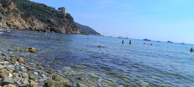 Photo 4 by Michal N. (8/11/24)