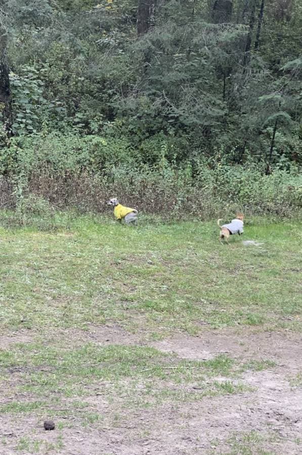 Photo 3 by Jennifer E. (1/23/24)