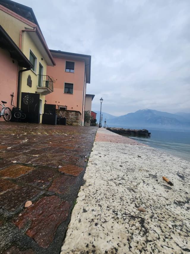 Photo 5 by ALEXANDER A. (4/18/25)