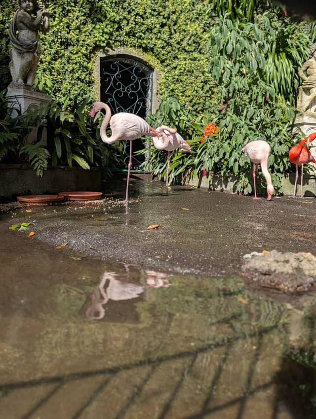 Photo 8 by Stephen Angus M. (3/7/26)