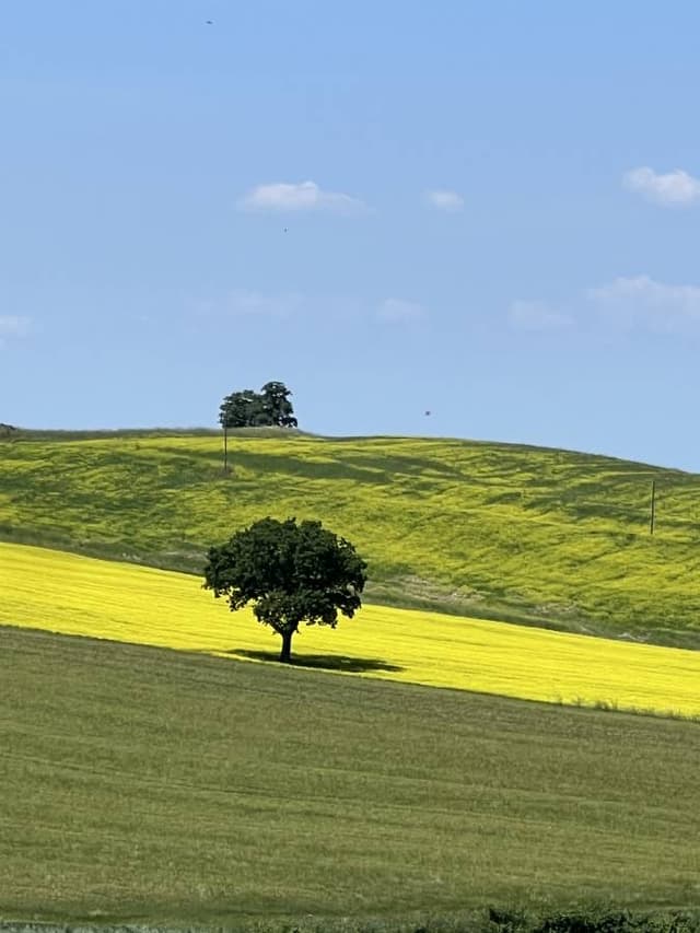 Photo 7 by Cristian M. (6/4/25)