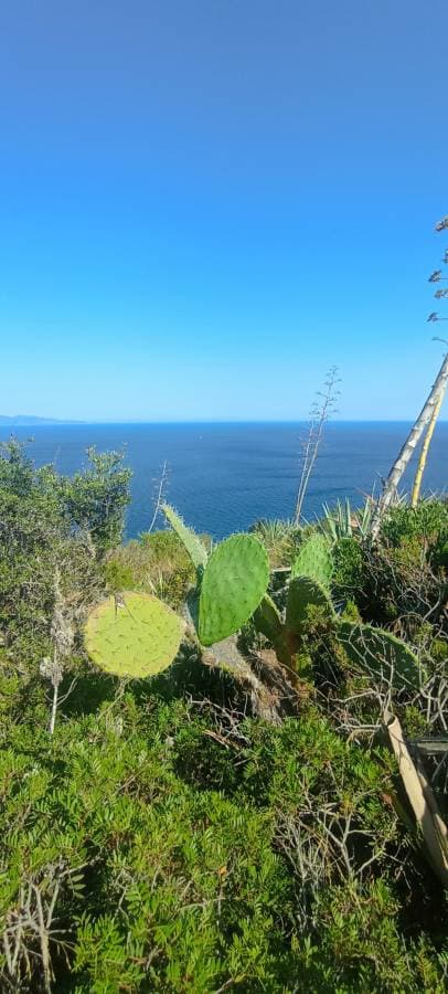 Photo 5 by Robert W. (7/18/25)