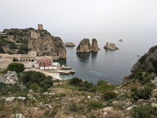 Photo 5 by Elisa M. (6/26/24)