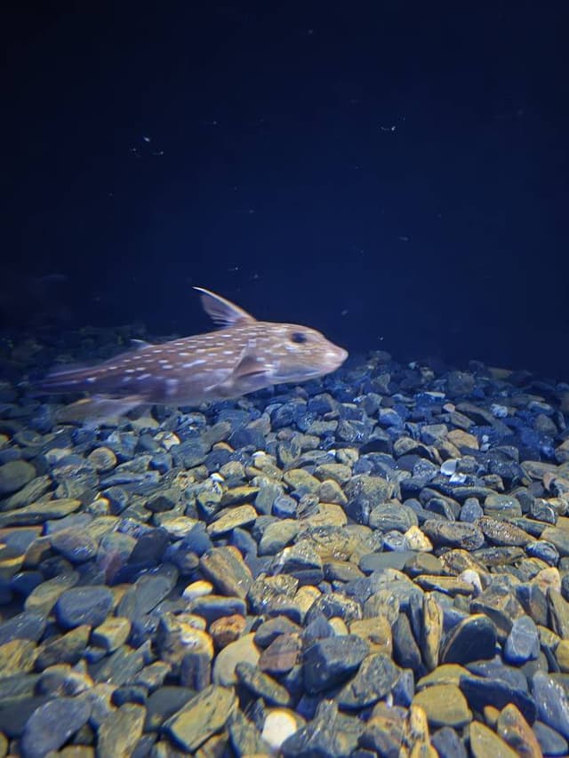 Photo 7 by Marcelo Alexandre C. (8/21/24)