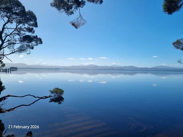 Photo 5 by Norman K. (3/3/26)