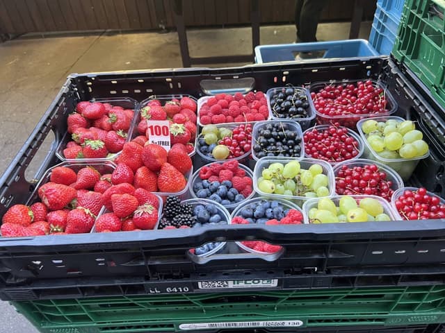 Photo 5 by SAIF A. (8/9/23)