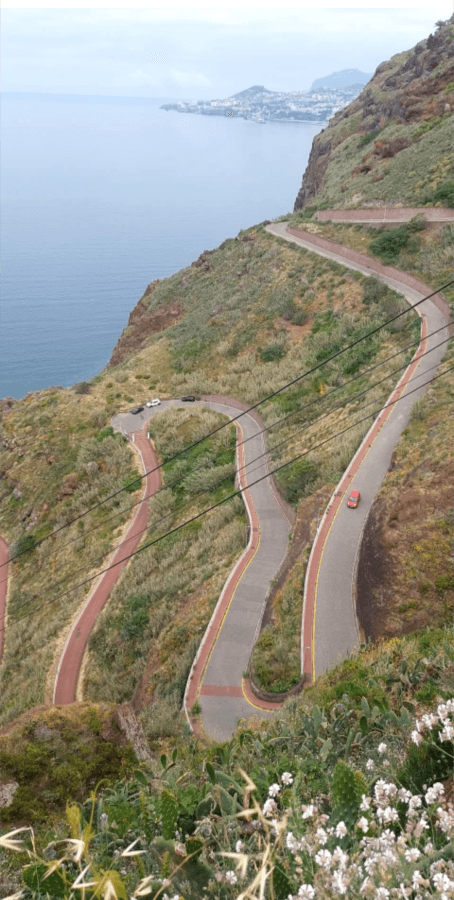 Photo 2 by Eniko D. (6/16/25)