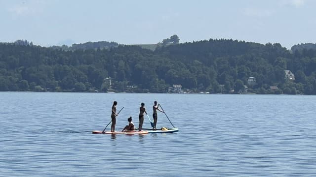 Photo 4 by Franz S. (7/9/23)