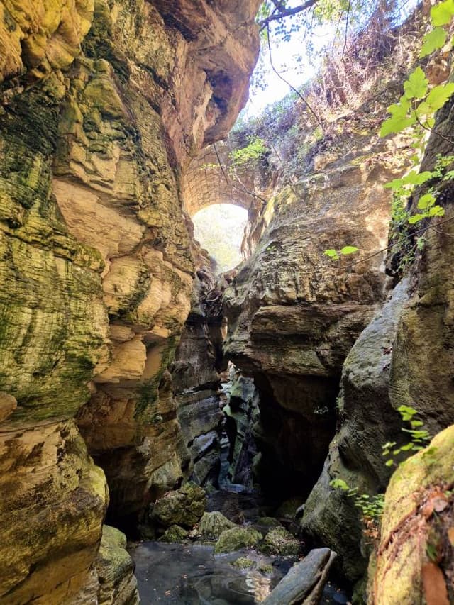 Photo 4 by Rimvydas A. (7/13/25)