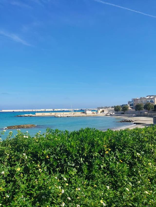 Photo 7 by Peter U. (10/29/24)