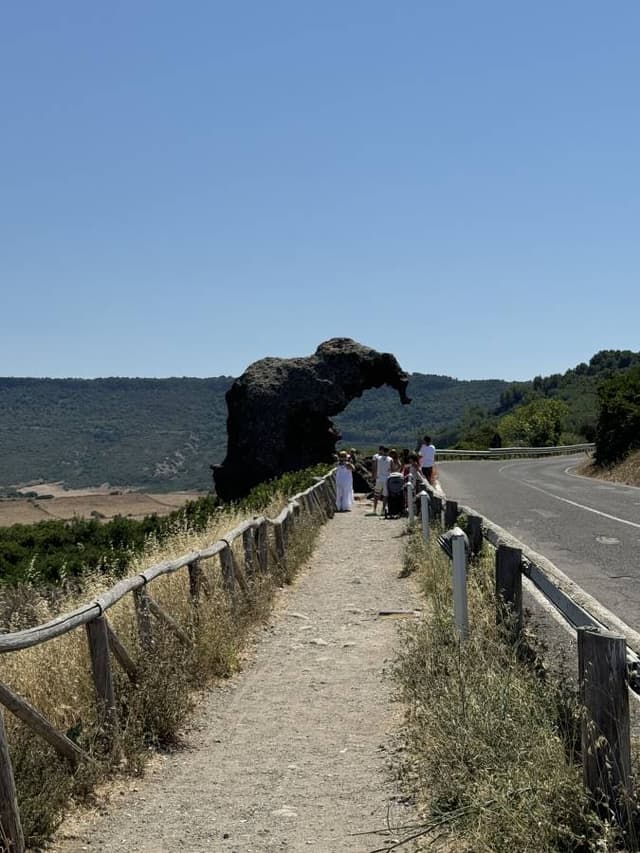 Photo 2 by Thalia D. (8/2/24)