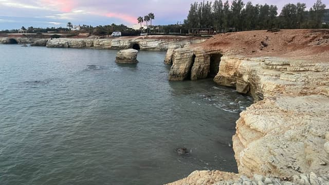 Photo 10 by Monika R. (12/17/23)