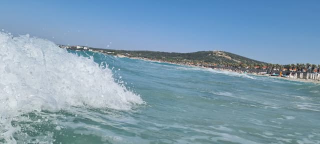 Photo 6 by Werner V. (4/22/24)