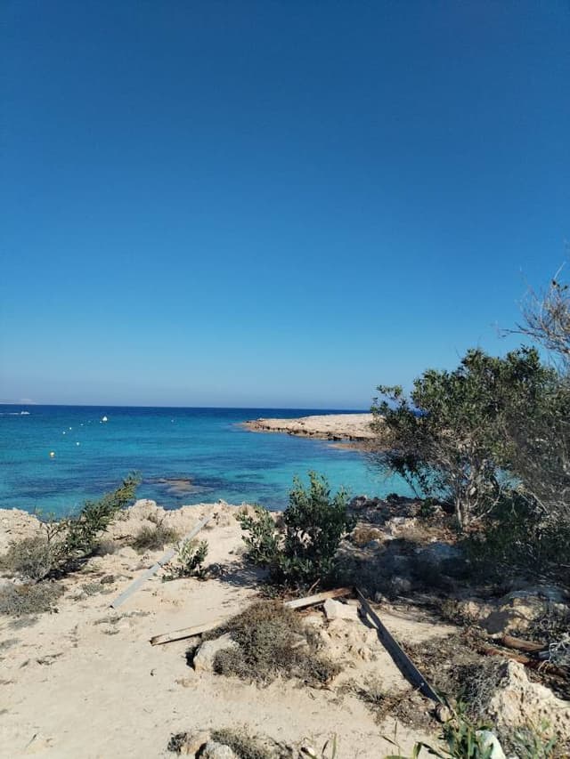 Photo 5 by Sasa D. (6/6/25)