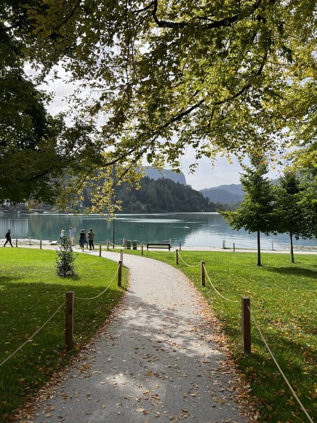 Photo 2 by SAMIR A. (10/20/23)