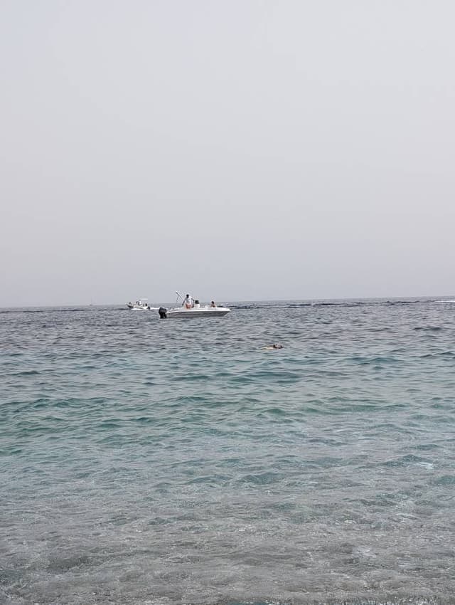 Photo 6 by Elisa M. (6/26/24)