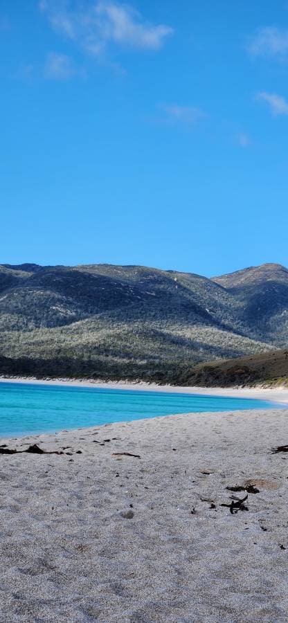 Photo 3 by Helen R. (5/15/25)