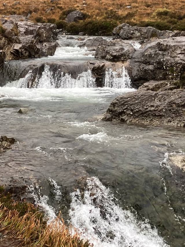 Photo 5 by Roy D. (10/26/24)