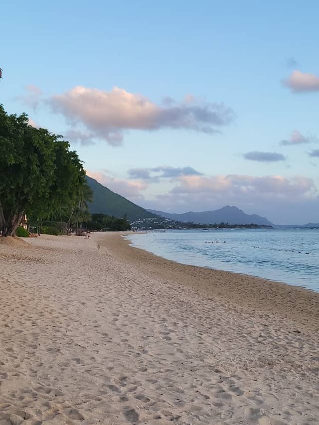 Photo 2 by Sayantan G. (5/27/25)