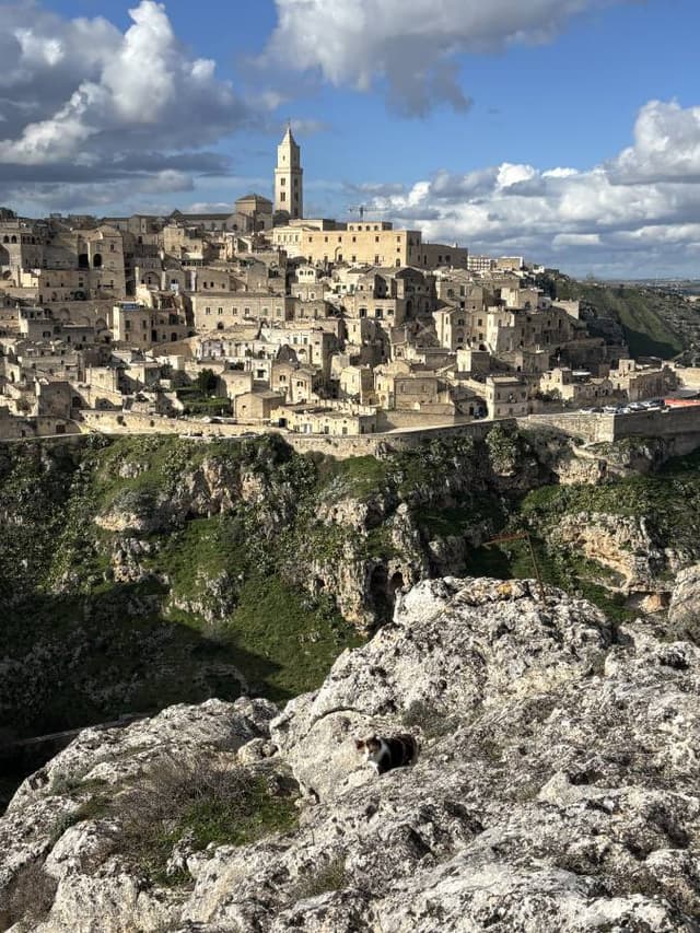 Photo 4 by Krzysztof M. (2/6/26)