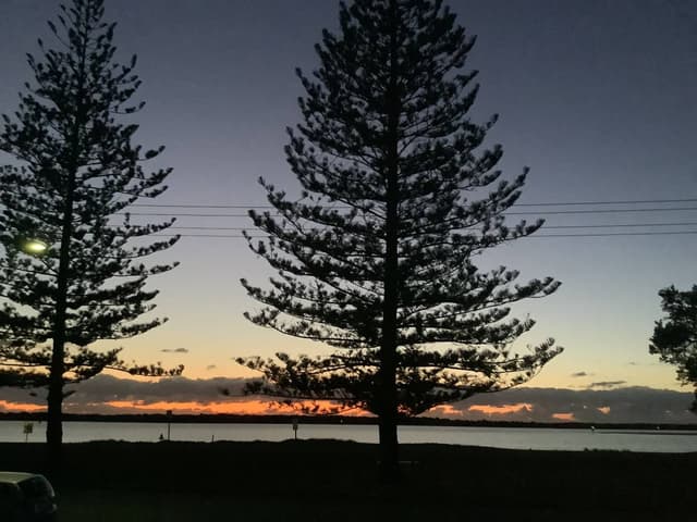 Photo 1 by Joy M. (11/30/23)