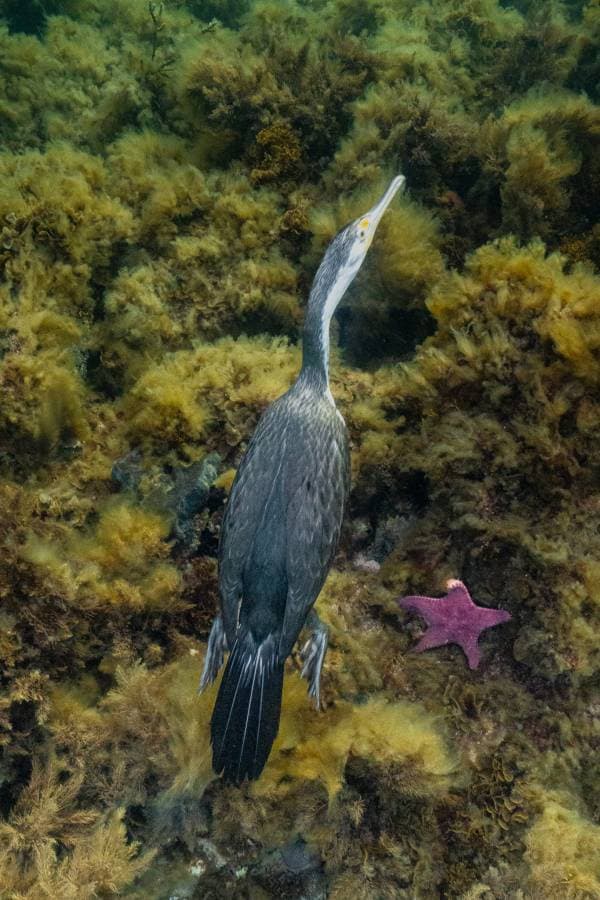 Photo 3 by Peter H. (7/7/25)