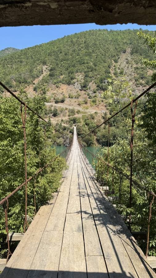 Photo 4 by Jitse H. (8/5/24)