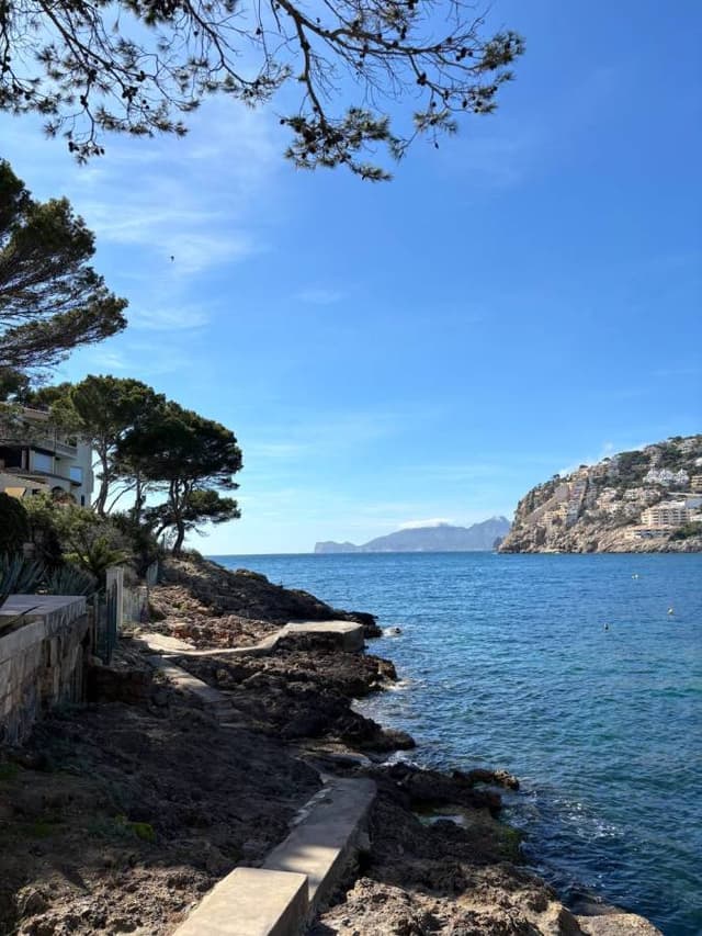 Photo 8 by Aleksandrs B. (5/7/24)