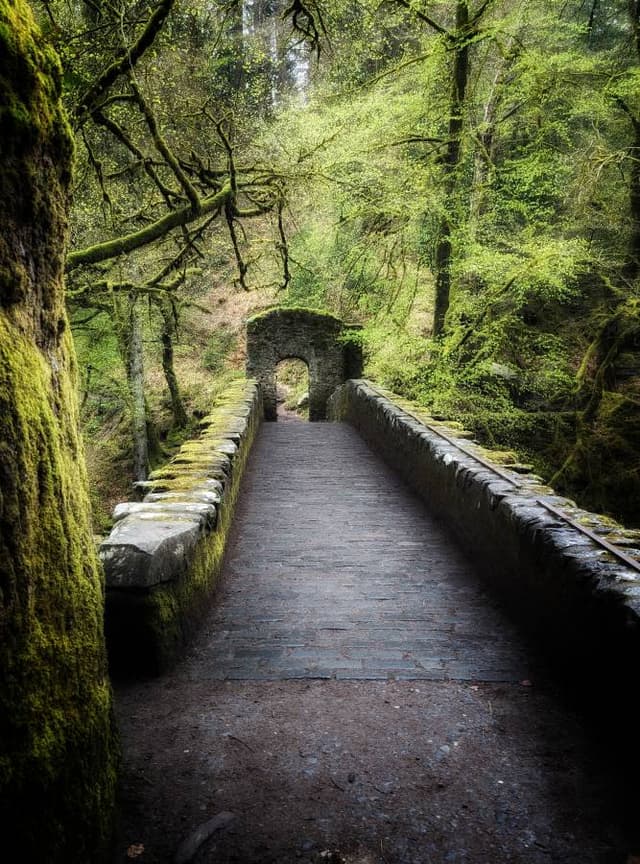 Photo 6 by Lesli Q. (8/7/24)