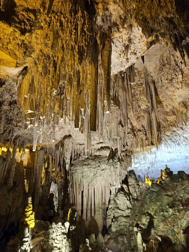 Photo 7 by Magdalena C. (5/12/24)